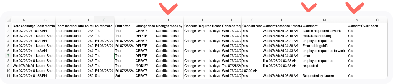 csv report.png