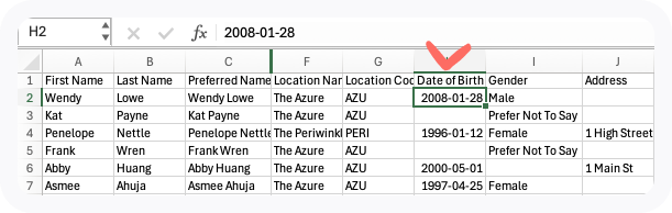 excel with correct format.png