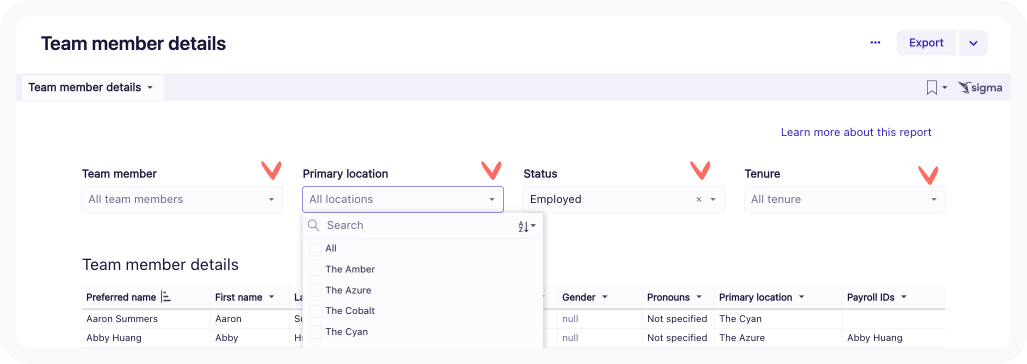 team member details filter.png