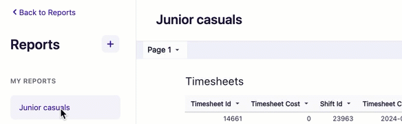 rename custom report.gif