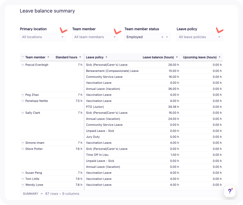 leave balance summary table.png