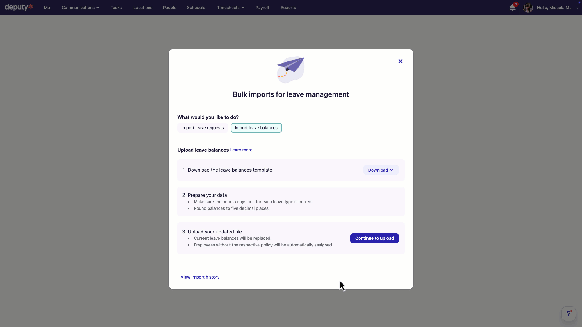 GIF_upload leave balance flatfile.gif