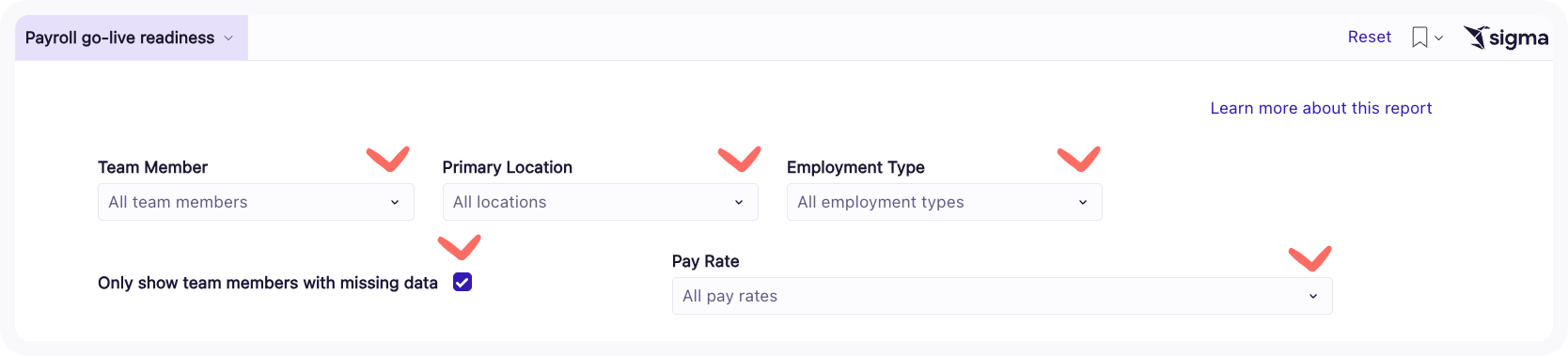 Screenshot of the report filters referenced above.