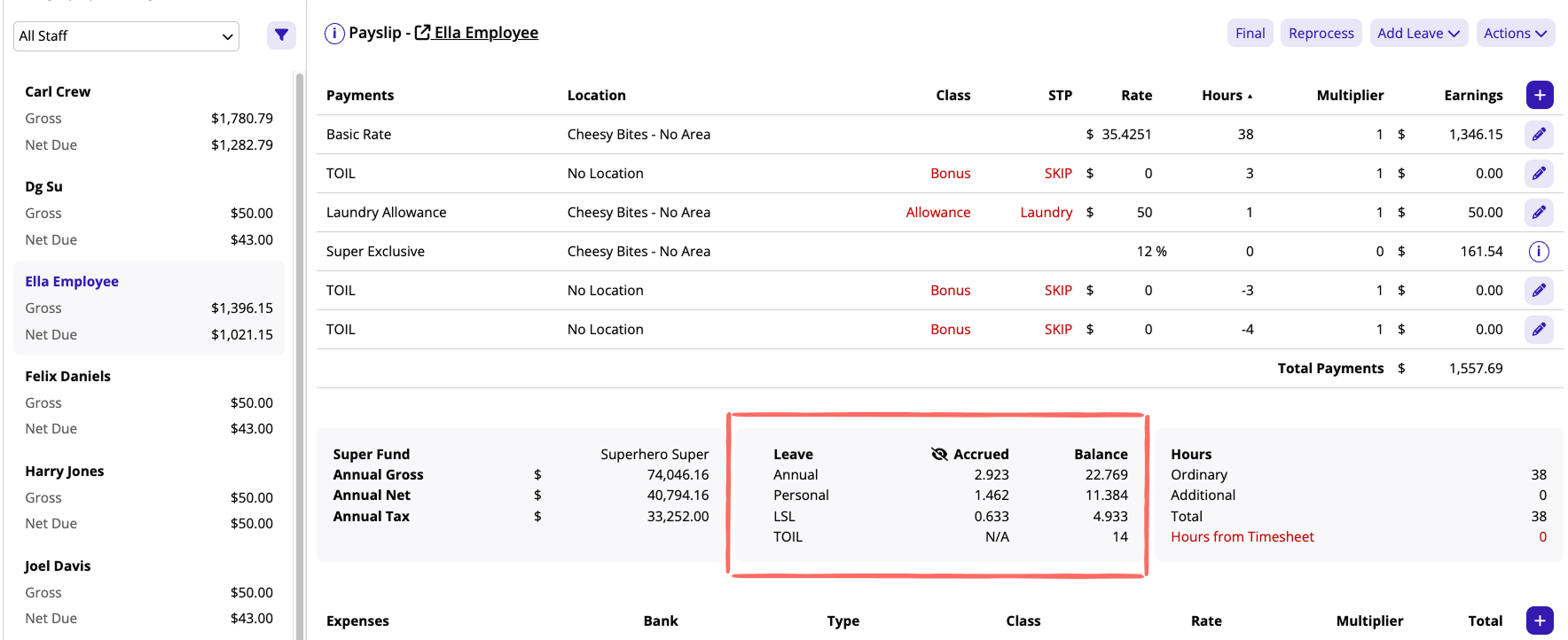 View of Leave balances section on payslip.