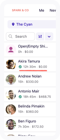 salary in team list.png